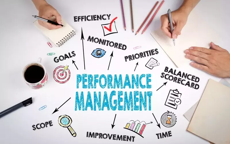 Performance Management Training: Understanding the Structure, Mechanisms, and Organizational Role