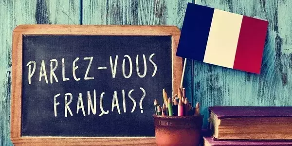 French Language Courses: Structure, Learning Mechanisms, and Educational Context