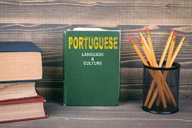 Portuguese Language Courses: Structure, Methodologies, and Educational Insights