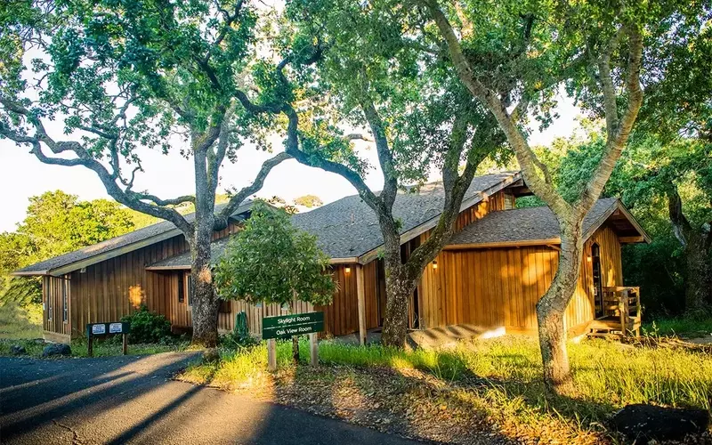 The Hoffman Process: A Deep Dive into the Intensive Self-Discovery Retreat Popular Among Tech Leaders