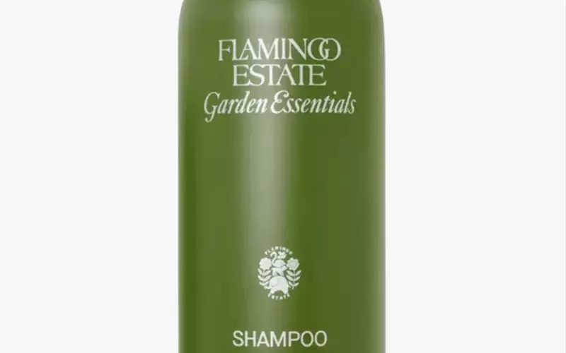 The Ultimate Guide to Natural Shampoos and Conditioners
