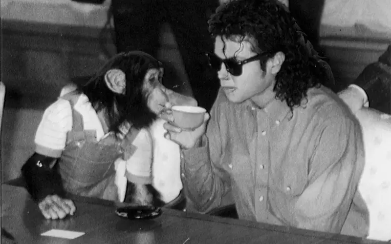 Michael Jackson's Chimpanzee Bubbles: A Peaceful Life and CGI Portrayal in Biopic
