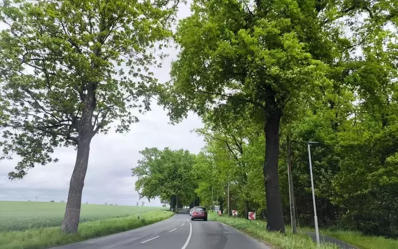 Die schönsten Roadtrips Deutschlands: Freiheit auf vier Rädern