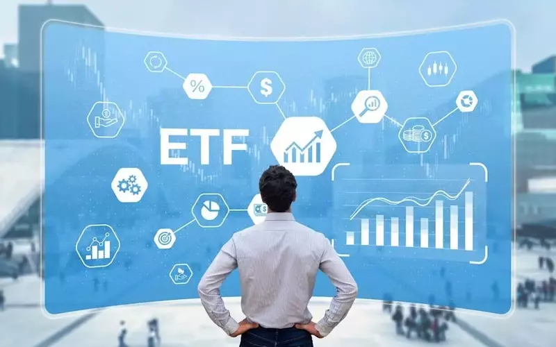 Comprehensive Diversification: The Appeal of the Vanguard Total Stock Market ETF
