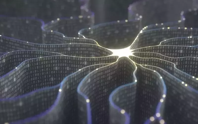 Miivo Expands AI Platform into Service Industries, Emphasizing Customization and Hybrid Approach