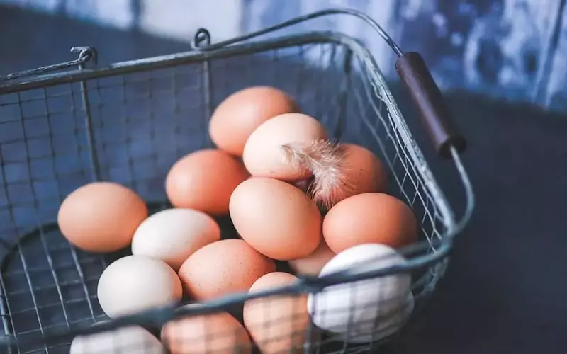 Cal-Maine Foods: A Compelling Investment in the Egg Market