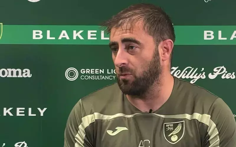 Norwich City Women's Team Coach Fired After Promotion