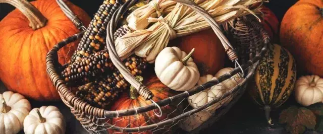 Zucche Ornamentali: Tesori Autunnali per Decorare con Stile