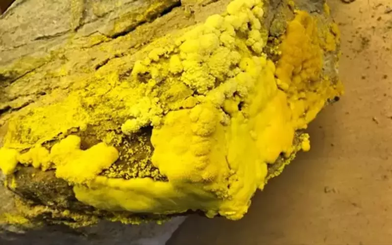 Uranium Exploration: The Synergy Between Major and Junior Mining Companies
