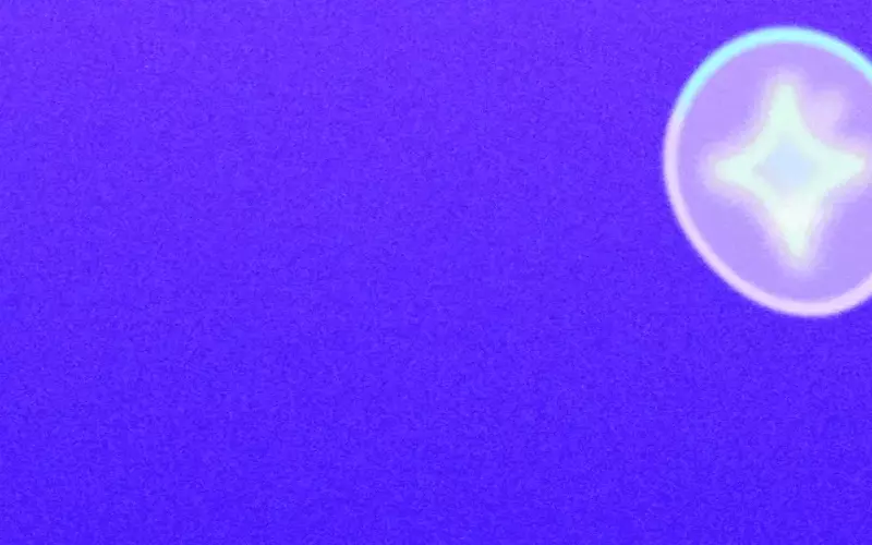 The Evolution and Reality of the AI Bubble