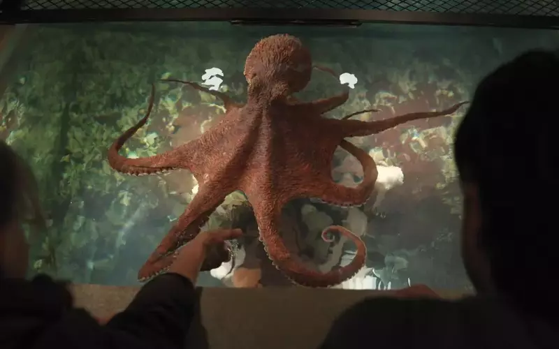 Bringing Marcellus to Life: The VFX Journey of 'Remarkably Bright Creatures'