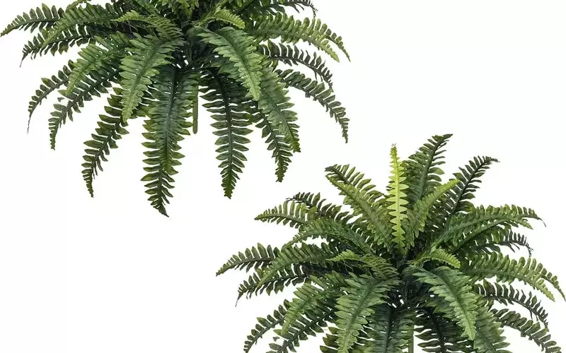 Top Picks: The Most Realistic Artificial Plants on Amazon