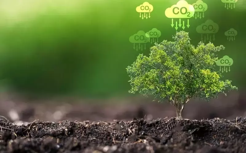 Court Nullifies IRS Rule Impeding Renewable Energy Tax Credits