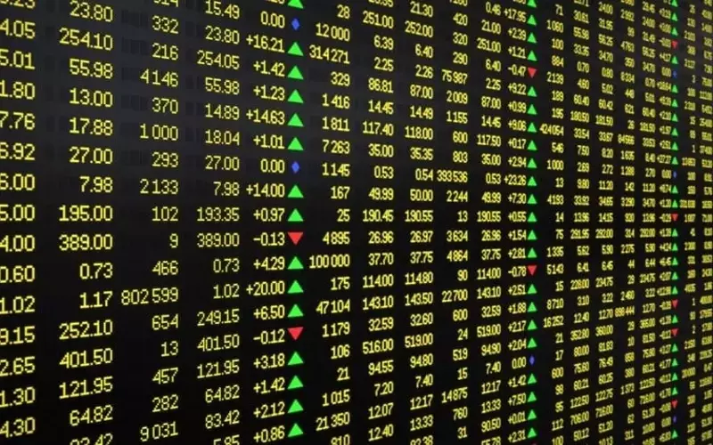 Mission Produce's Q2 Results & Market Movers