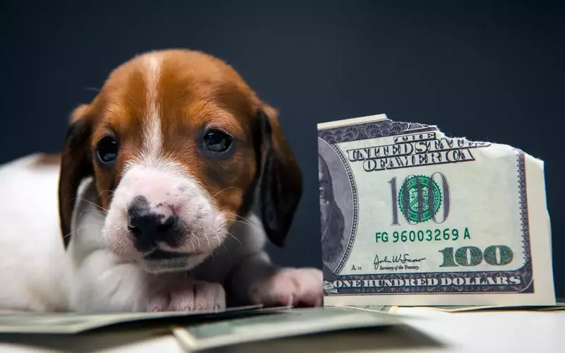 Navigating Inflation: Beyond the Headline Numbers