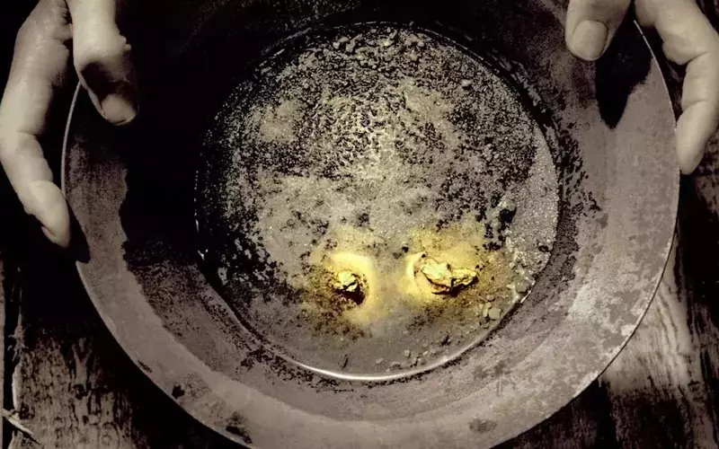 Gold's Decline Amidst Rising Interest Rate Expectations