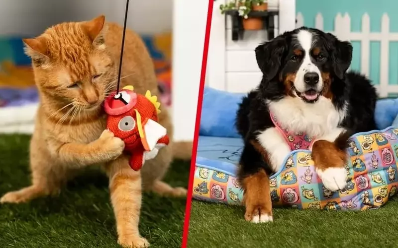 New 'Pokémon Playful Partners' Collection Launched for Pet Owners