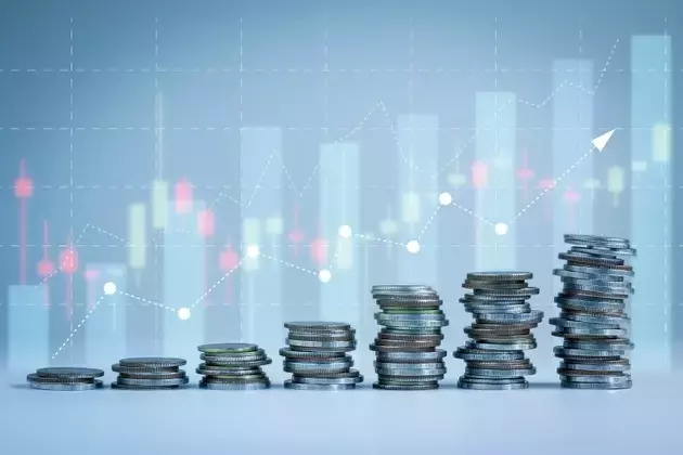 NNN REIT: The Enduring Appeal of Stability in a Volatile Market