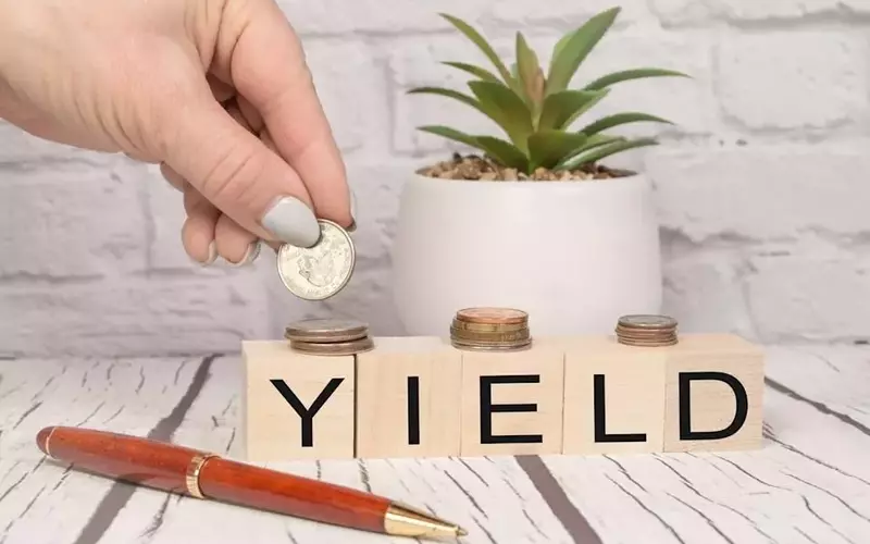 Beyond the Hype: Discovering Value in Overlooked Dividend Stocks