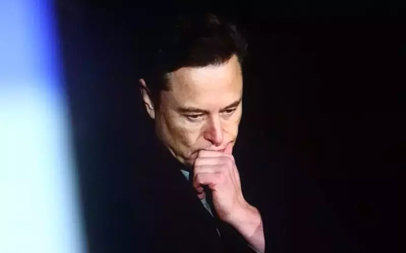 Musk's Subsidy Debate: A Democratic Perspective