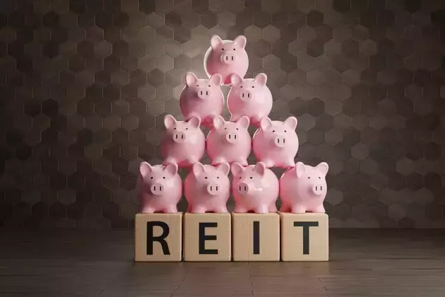 REIT Sector Shows Resilience Amidst Volatility and High Interest Rates
