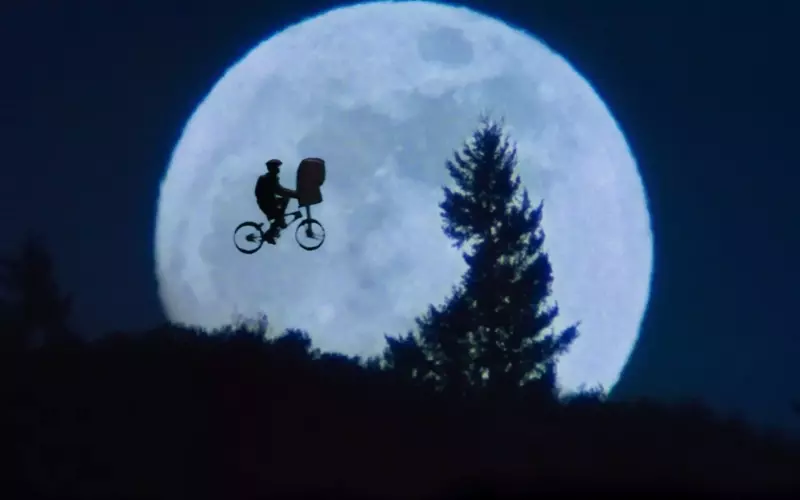 A Cinematic Journey: Exploring Steven Spielberg's Unique Filmography