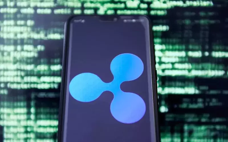 XRP Holdings Concentrated Among Millionaires Amid Market Rally
