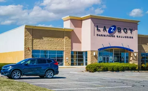 La-Z-Boy: A Robust Enterprise Amidst Industry Challenges