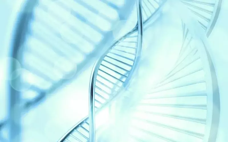 H.C. Wainwright Maintains 'Buy' for Structure Therapeutics (GPCR)