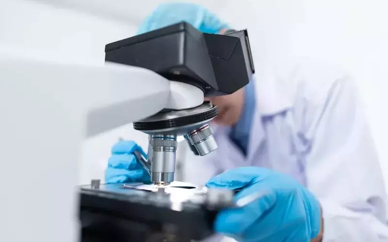 Leerink Maintains Outperform Rating for Crinetics Pharmaceuticals (CRNX) Amidst Rival's Setback