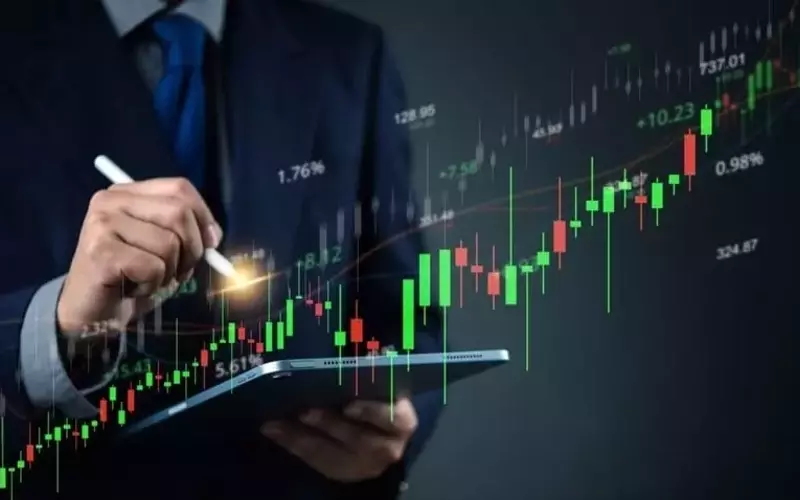 Critical Metals Stock Soars on Major Drilling Initiative
