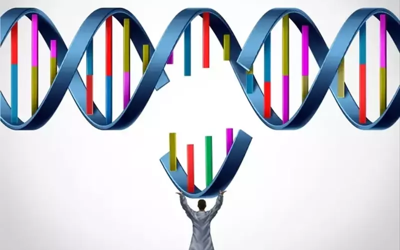 Sarepta Therapeutics Navigates Regulatory Hurdles and Future Growth Prospects