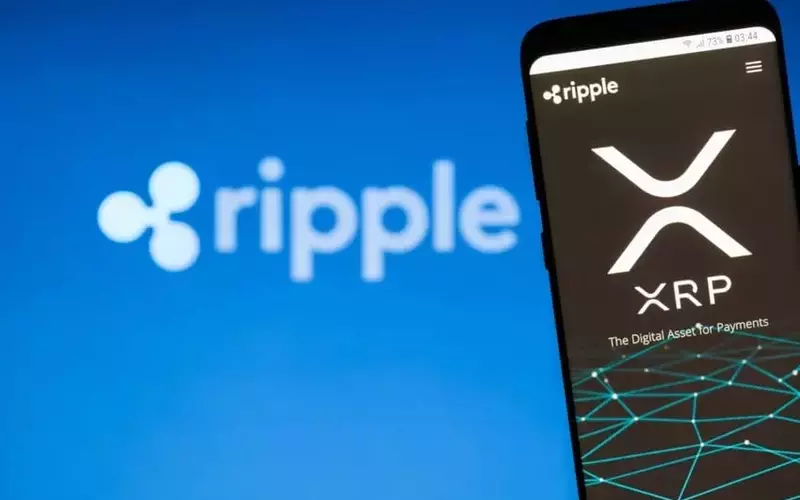 Evernorth CEO Endorses XRP's Potential to Outshine PayPal in Digital Finance