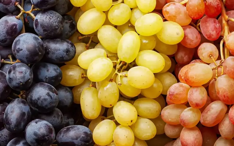 A Comprehensive Guide to Grapes: Varieties, Selection, and Culinary Uses