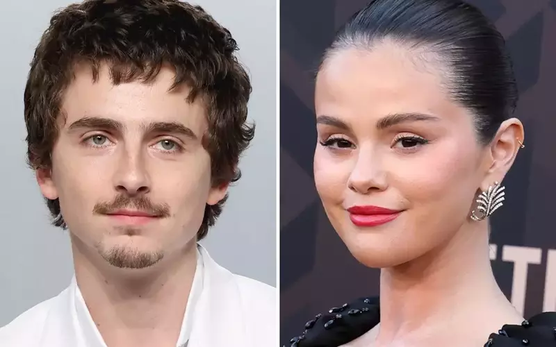 Chalamet and Gomez to Lead Illumination's 'Not Alone' Animated Feature