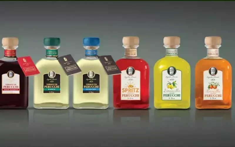 MaserGrup's Strategic Expansion Through Acquisitions and Sales Growth