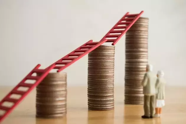DGRO vs. VIG: Navigating Dividend ETFs for Stability and Growth