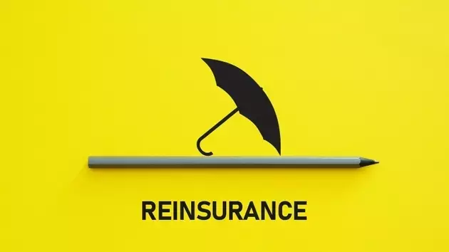 Greenlight Capital Re: Persistent Valuation Challenges Despite Operational Gains