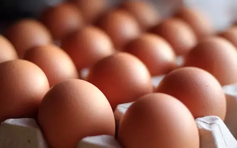 St. Ewe Free Range Eggs Welcomes New Chairman and Non-Executive Directors