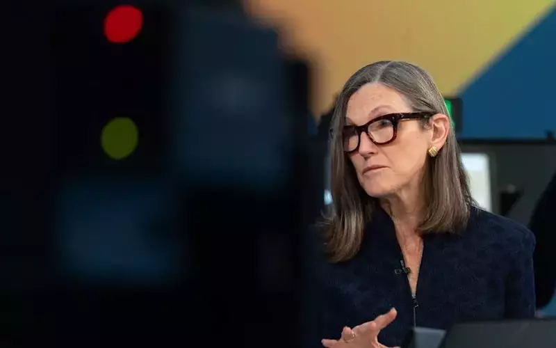 Cathie Wood-Backed Crypto Stock Plummets Over 90%