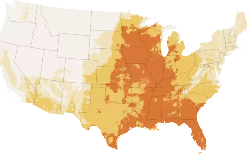 US Braces for Record-Breaking Heatwave Ahead of Holiday Weekend