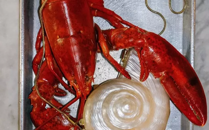 The Enduring Allure of Seashell Accessories in Fashion