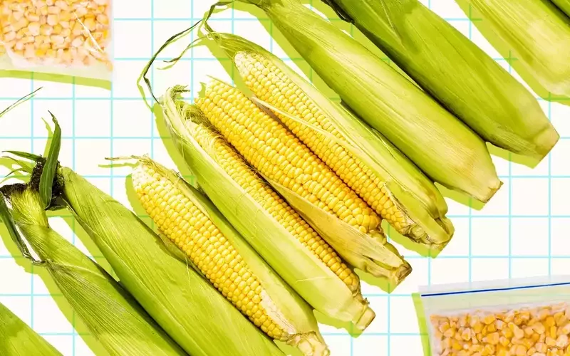 Maximizing Sweetness: The Ultimate Guide to Storing Your Corn