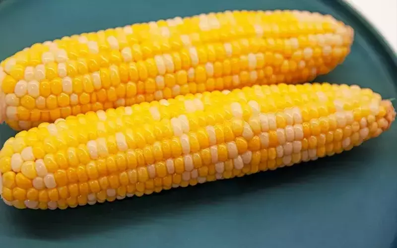 Optimal Corn Cooking: A Guide to Achieving Perfect Texture and Sweetness