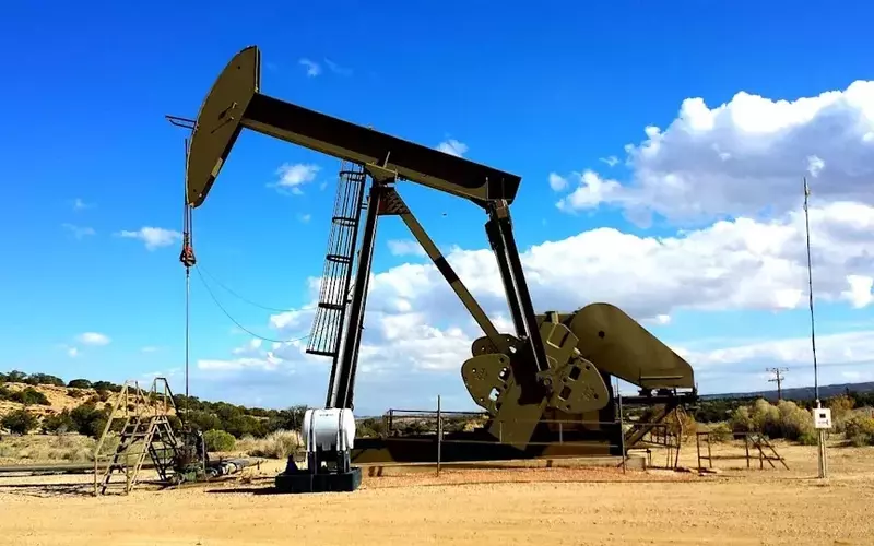 TotalEnergies Expands Presence in UAE Gas Sector with Bab Gas Cap Concession Stake