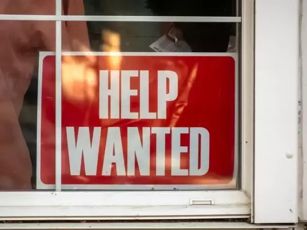 June Jobs Report: Market Reacts to Slowdown