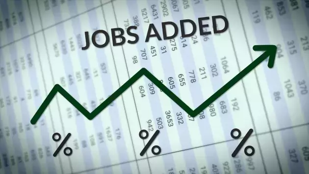 June Employment Report Reveals Unexpected Slowdown in Job Growth