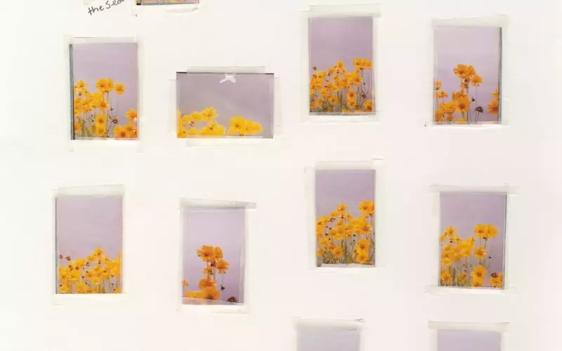 Nico Perez's 'Everything Is Nothing and Nothing Is Everything': A Photographic Journey of Connection and Truth
