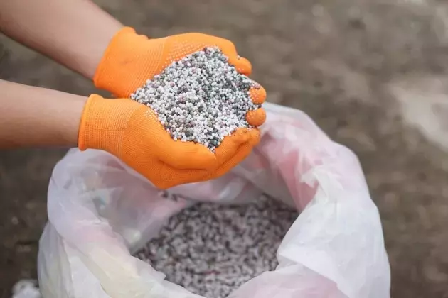Fertilizer Sector Dynamics: The Mosaic Company's Resilience Amidst Market Shifts