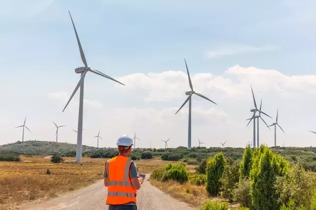 Navigating the Merger: Brookfield Renewable Corporation and its Premium